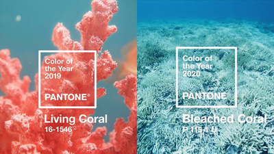 Living Coral to Bleached Coral